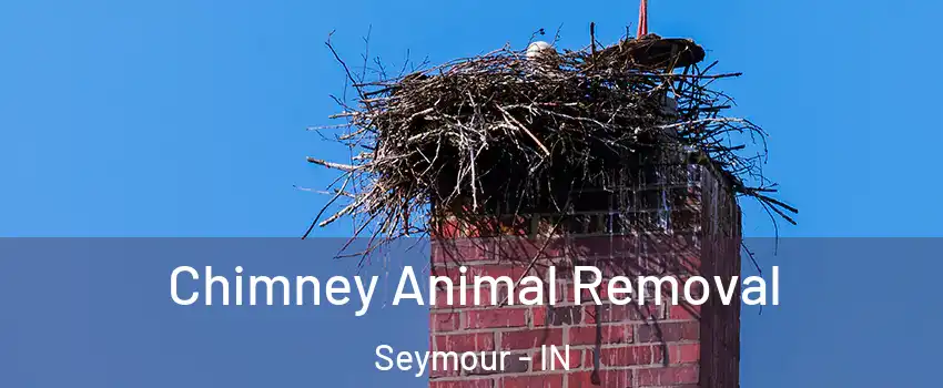 Chimney Animal Removal Seymour - IN