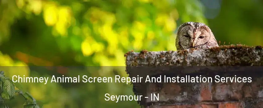  Chimney Animal Screen Repair And Installation Services Seymour - IN